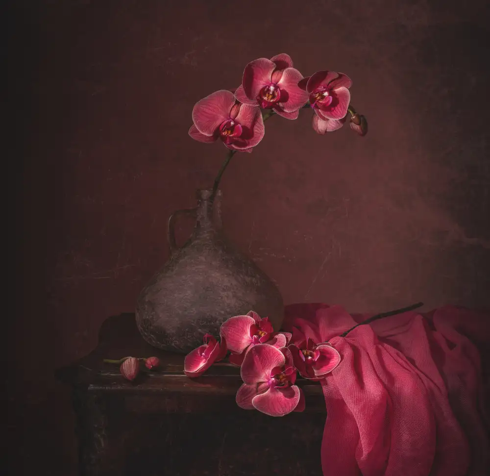 Perfoncio, Margareth: Rosa