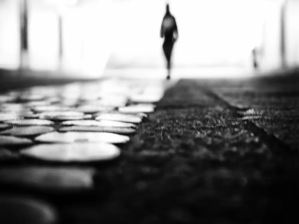 Momanu, Mirela: Fading Away
