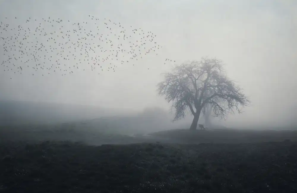 Hermann, Uschi: matin brumeux
