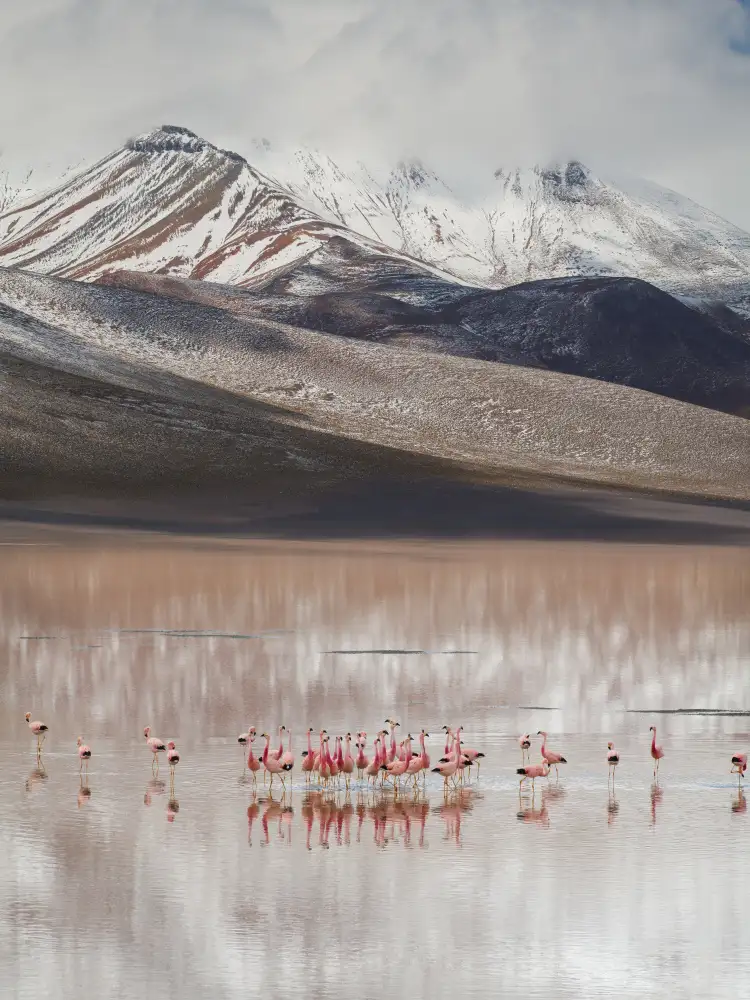 DB, YY: vista sulle montagne (Bolivia)