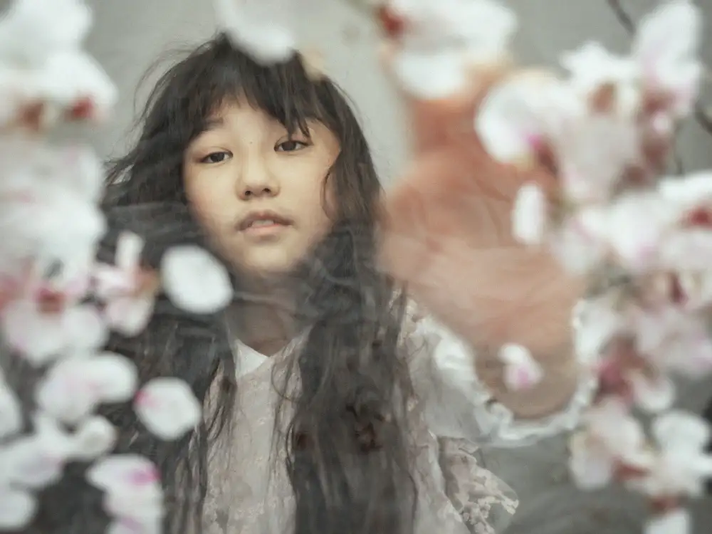 Ugachi, Takako: SAKURA ～Kirschblüten～