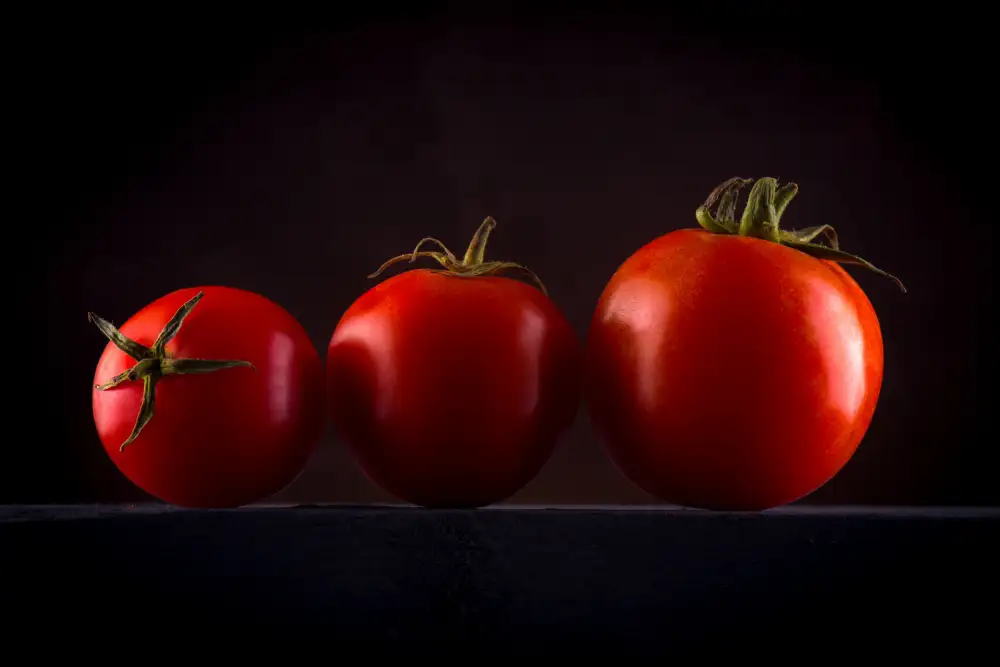 Dhuper, Sumit: Art culinaire