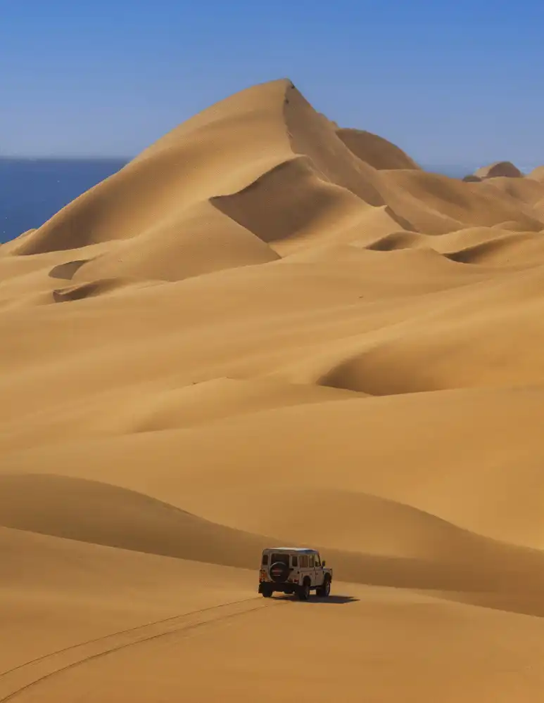 Zheng, Michael: Wüstenexpedition