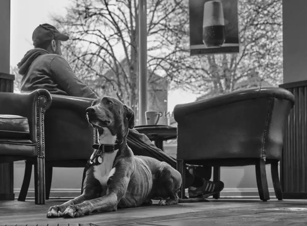 Majewski, Pawel: Kaffeepause