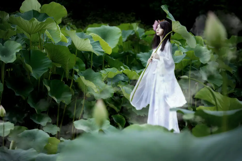 Suemasa, Hiroaki: Vor der Blüte