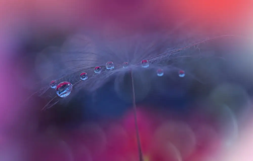 Nan, Juliana: Le lacrime del cielo...III