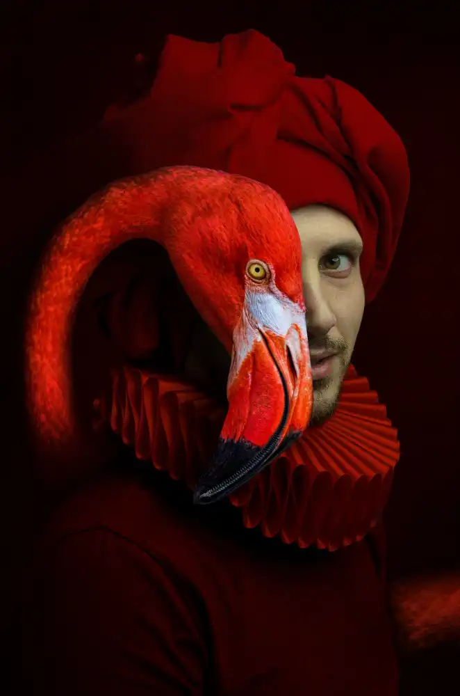 Chis, Adrian Paul: Roter Flamingo