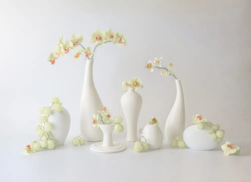 May, G.: Orchidee e uva