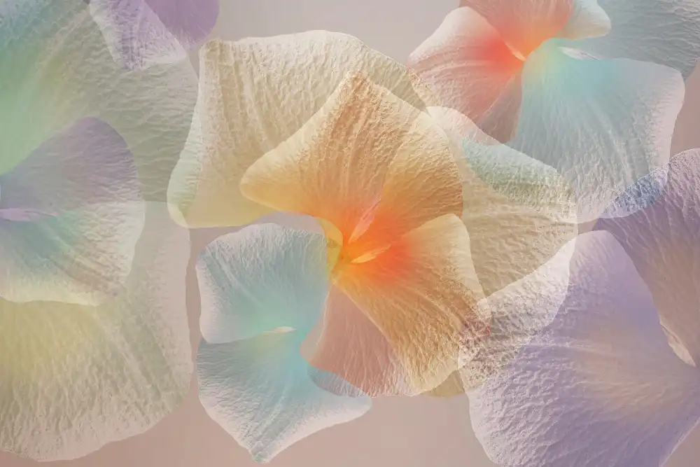 Shumilova, Ludmila: Floreale pastello