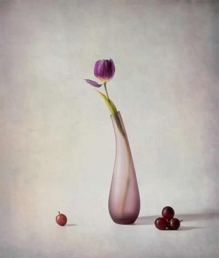 May, G.: Tulipano e uva