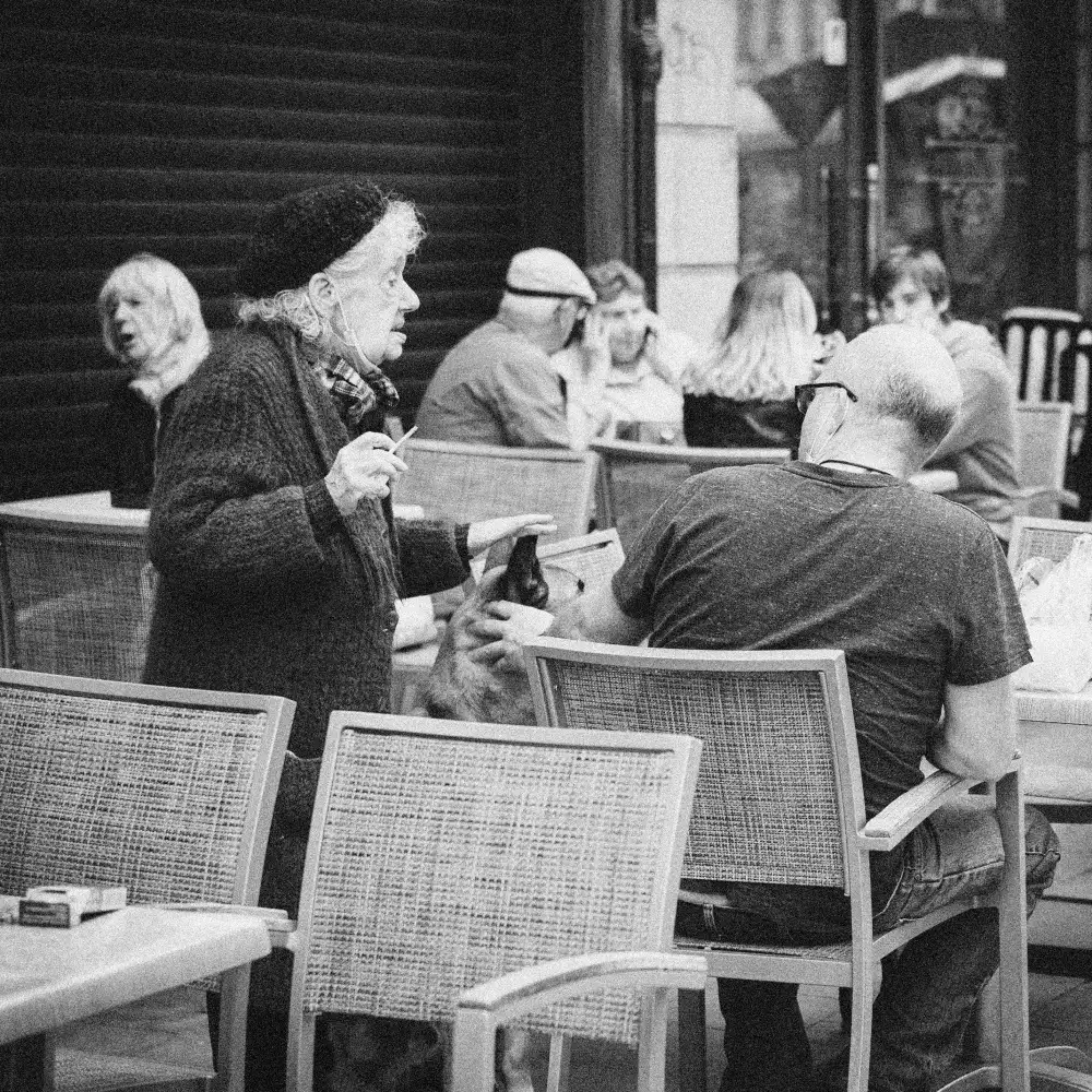 Cornelis, Ann: In cerca di compagnia