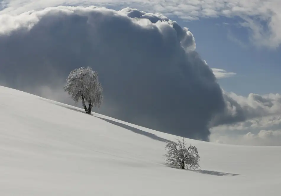 Schumacher, Nicolas: DER WOLKE ZUM TROTZ