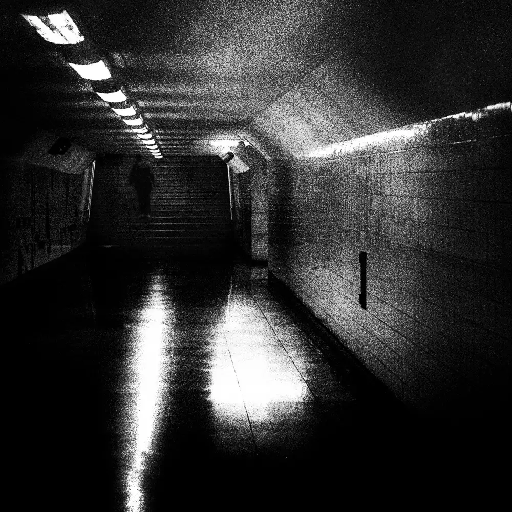 Abrantes, Paulo: Vom Morgenpapiermond
