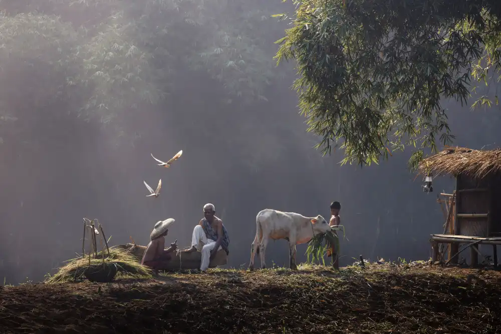 Widjaja, Sally: Breakfast for The Cow