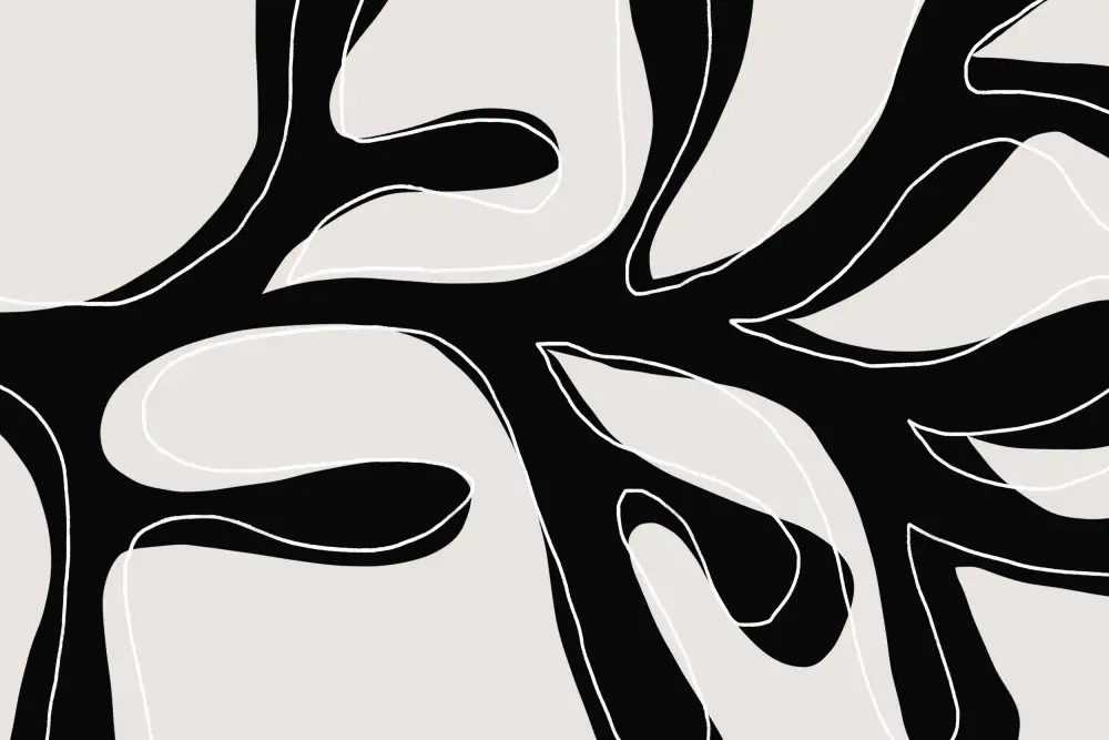 uplusmestudio: Brindille abstraite noir et blanc