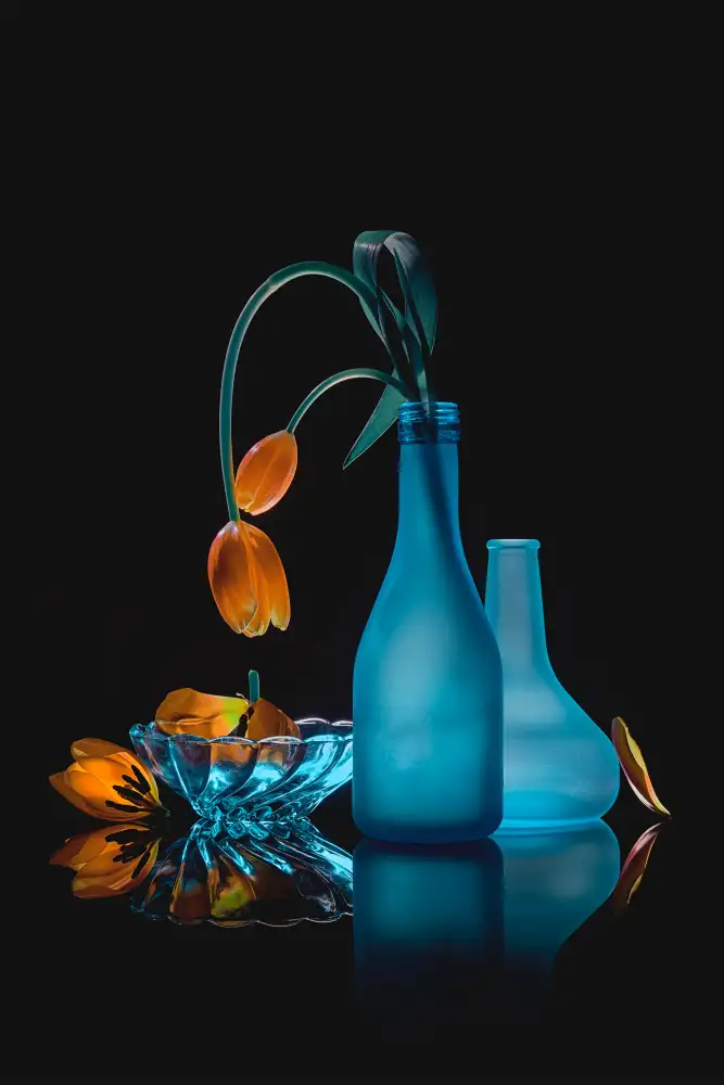 Jacobs, Lydia: Heller Tag mit Tulpen