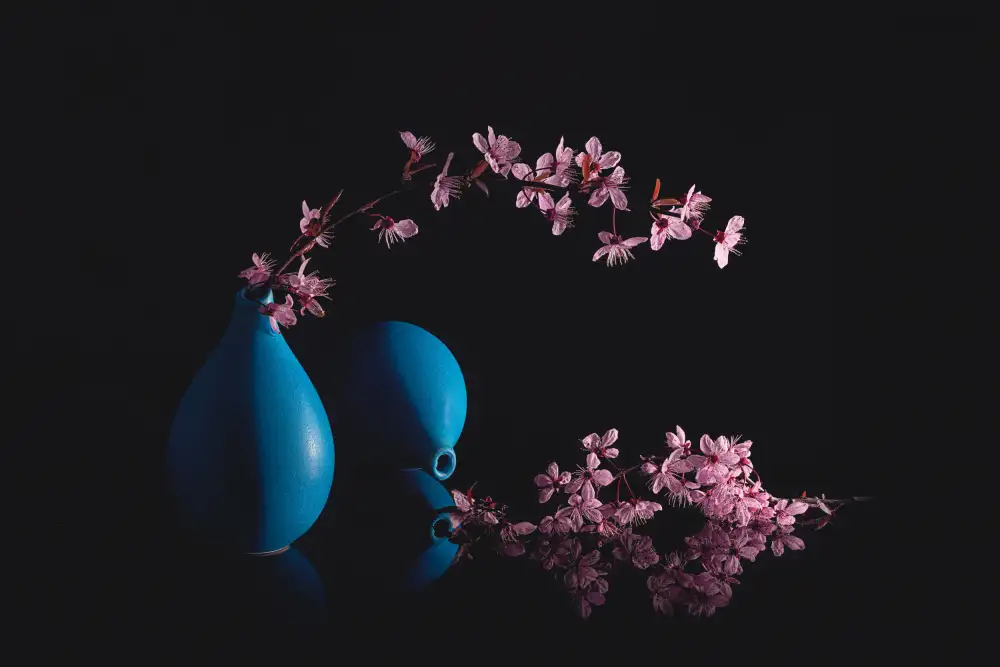 Jacobs, Lydia: Kvetoucí Prunus