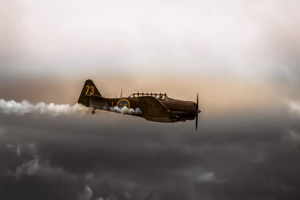 Wicklow, Jørgen: Flugschau Roskilde