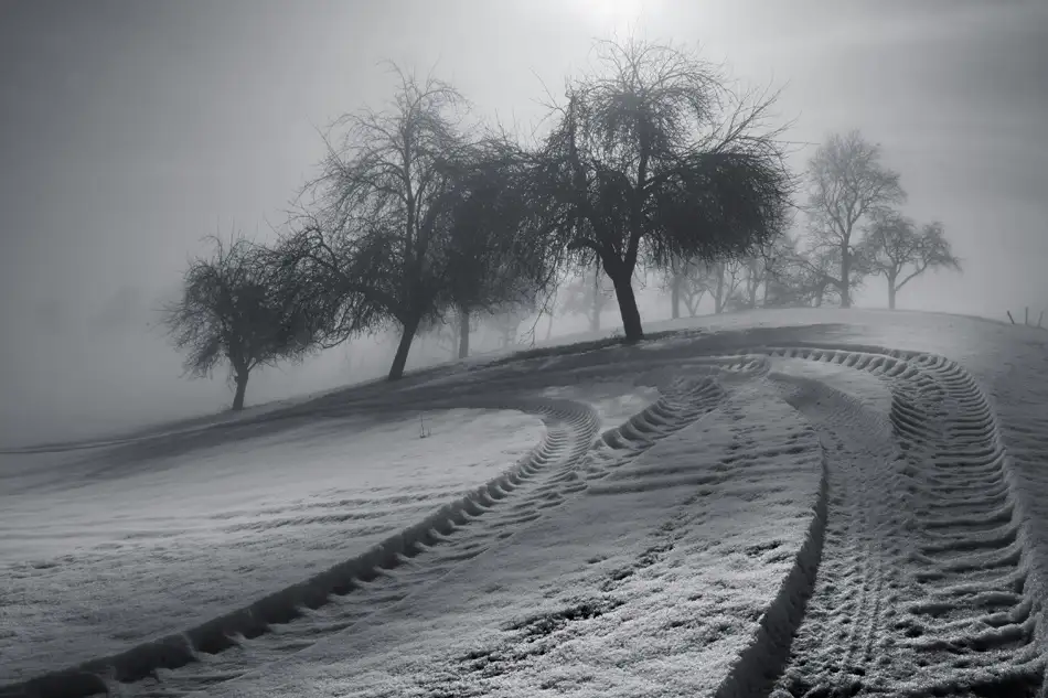Schumacher, Nicolas: Fahrspur