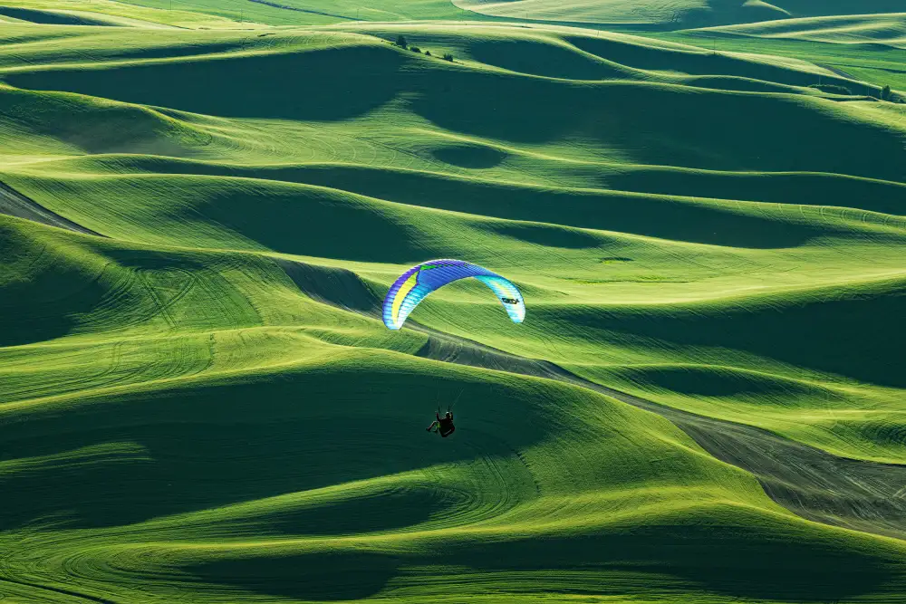 Xu, Tony: Volare