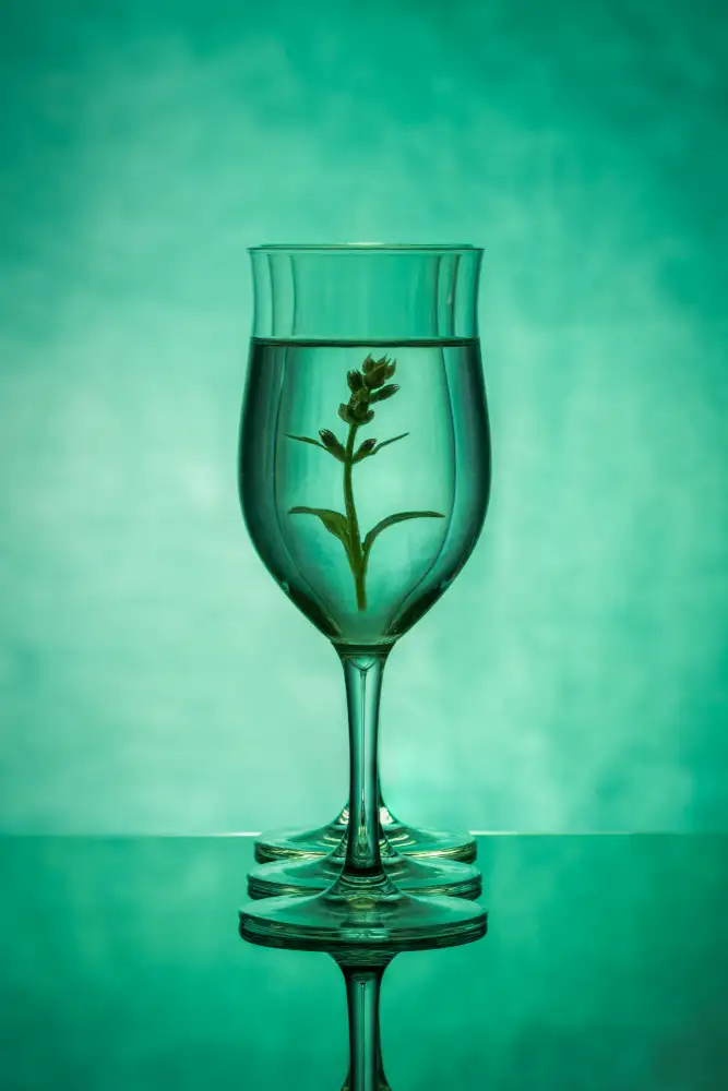 Yakubovitch, Azriel: Grünes Glas