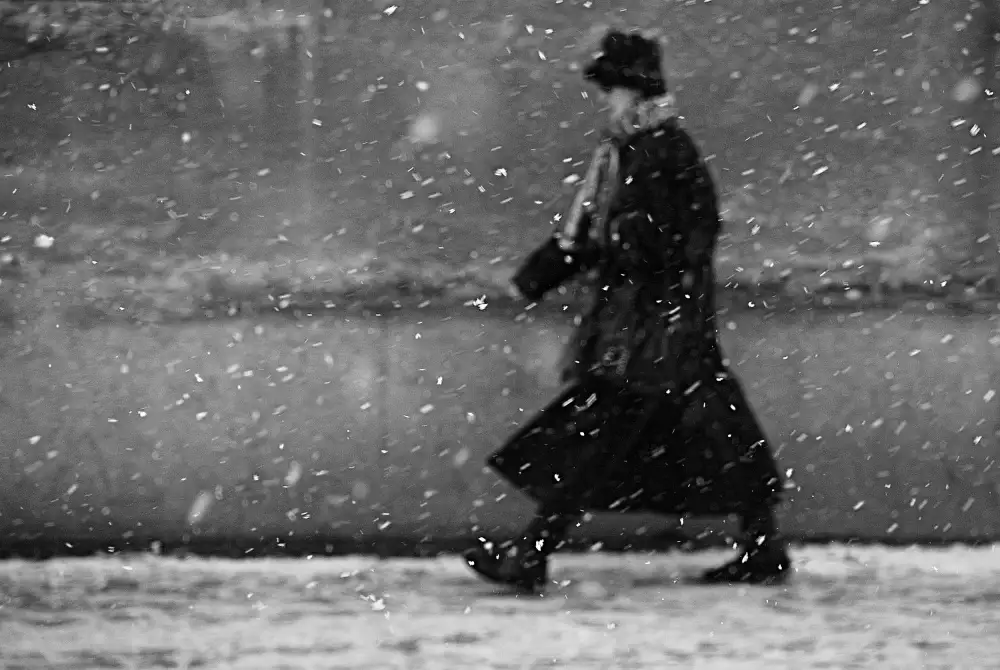 Gabor, Nicoleta: passeggeri invernali