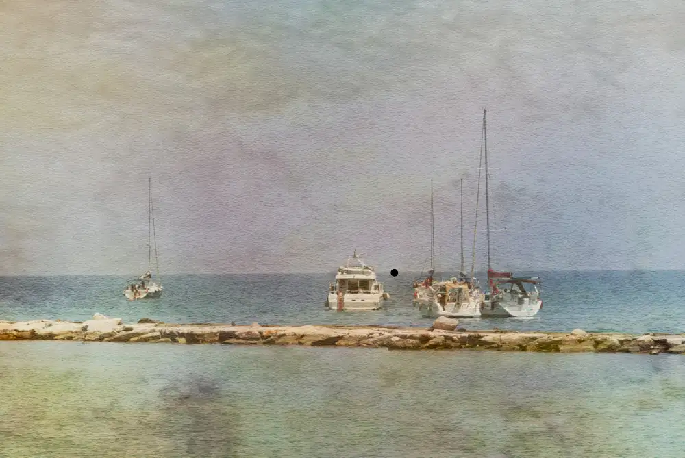 gilleman, monique: Bari