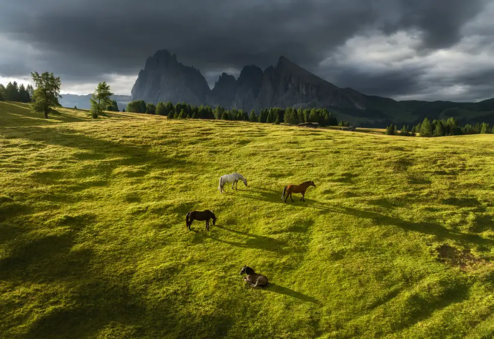 Krivec, Ales: Cavalli nelle Dolomiti