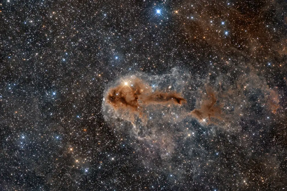Chander, Vikas: Nebulosa del pesce marcio