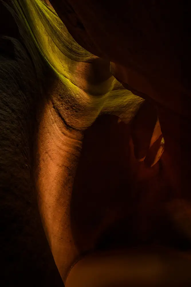 Yu, Zhen James: Yuca-Tal