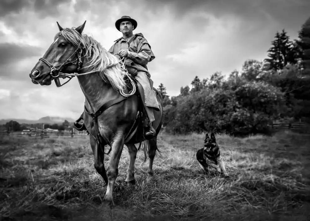 Girmencea, Robert: Animali selvatici