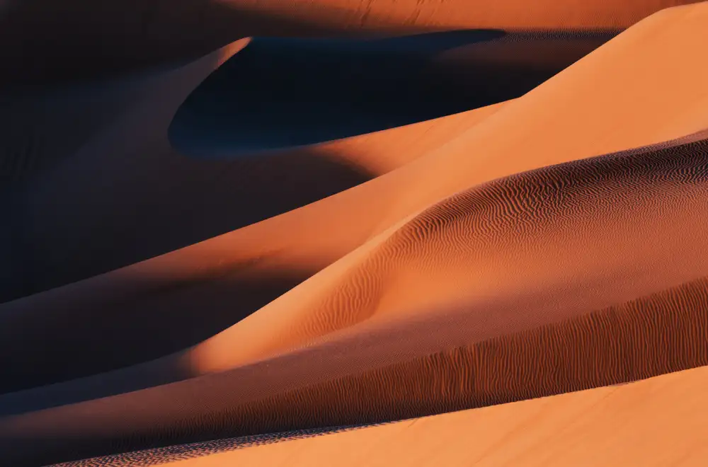 Qiu, Jenny: Le linee e le curve