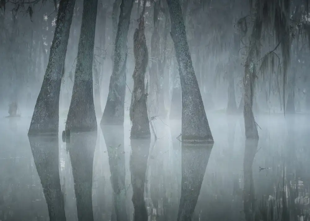 Wei, Willa: Jezero Martin