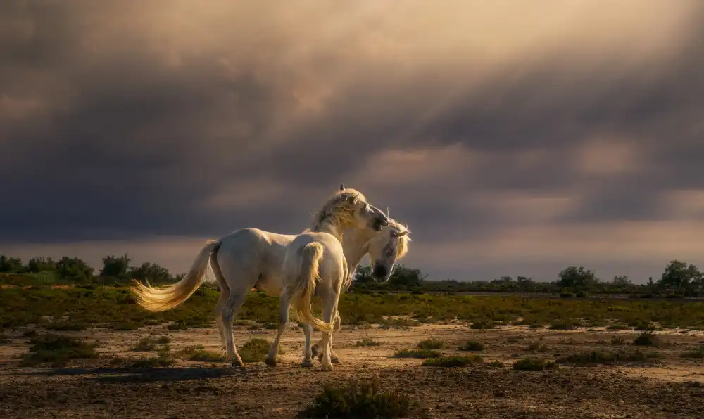 Joanaduenas: Dopo la tempesta...luce! A732210