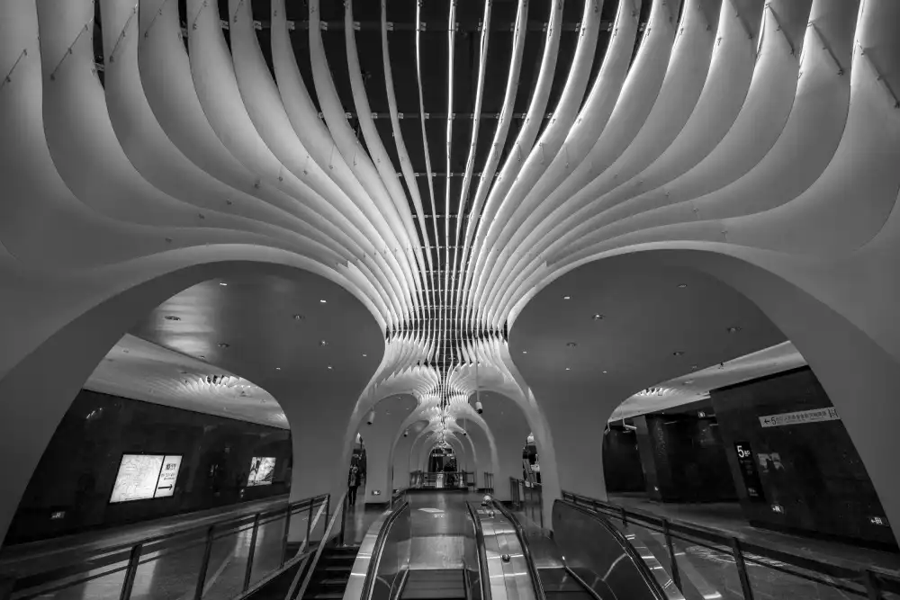 Liu, Ren Raymond: The Curves and Lighting