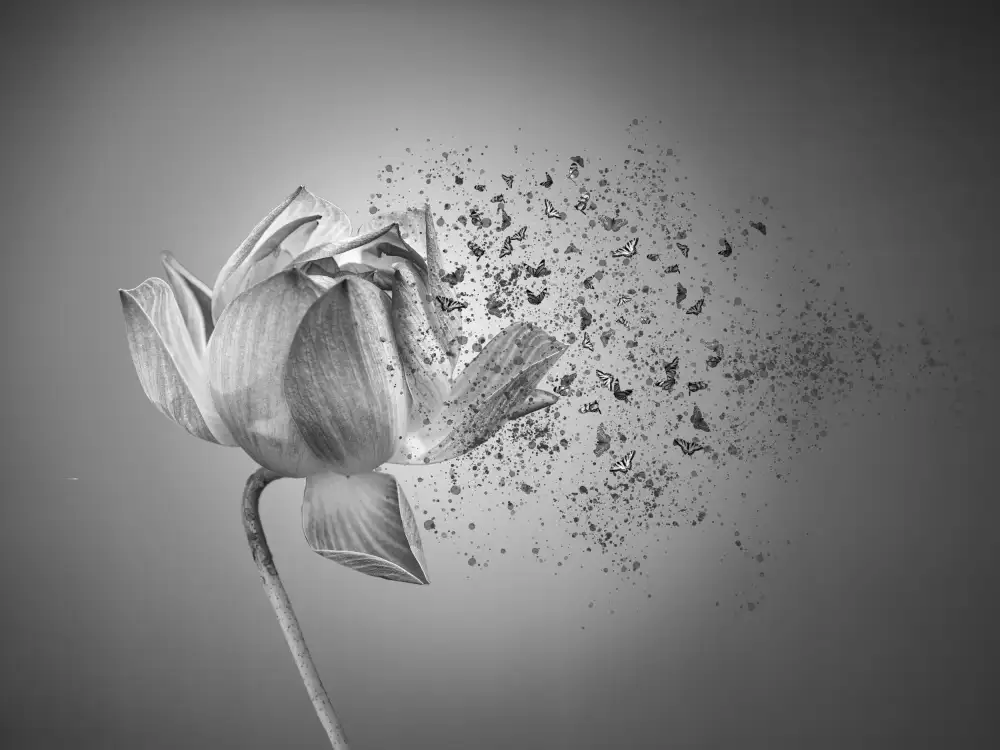 Lin, Lin: Flor