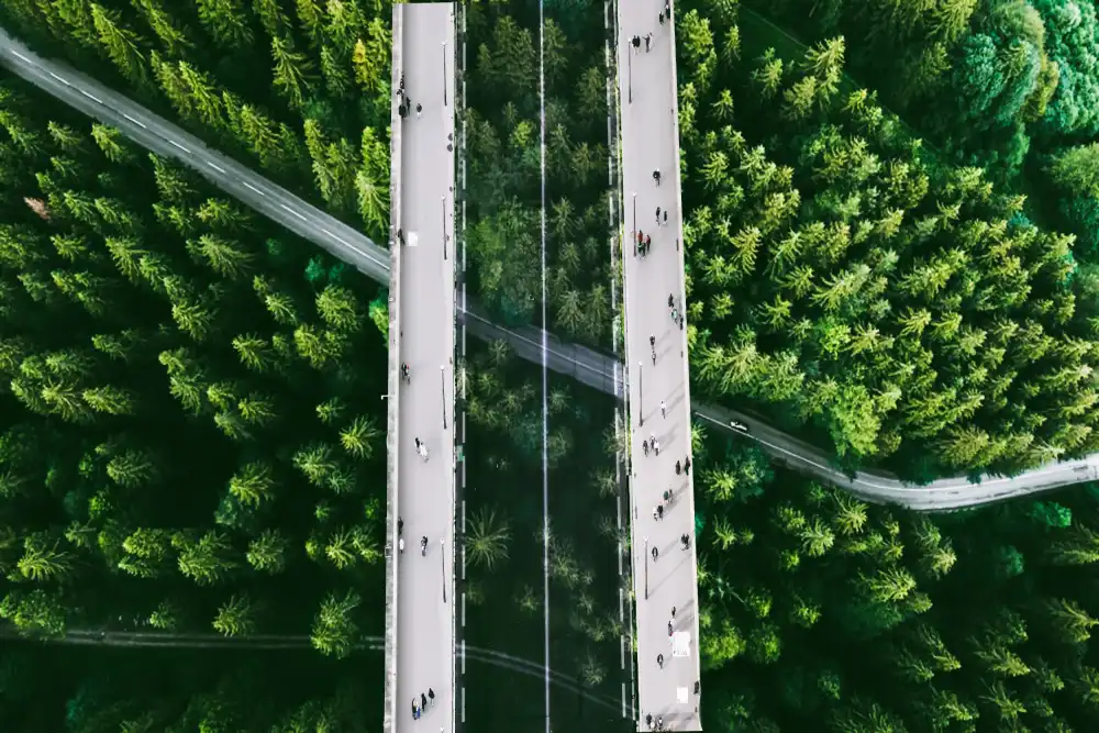 Dan, Ciupureanu: Il ponte