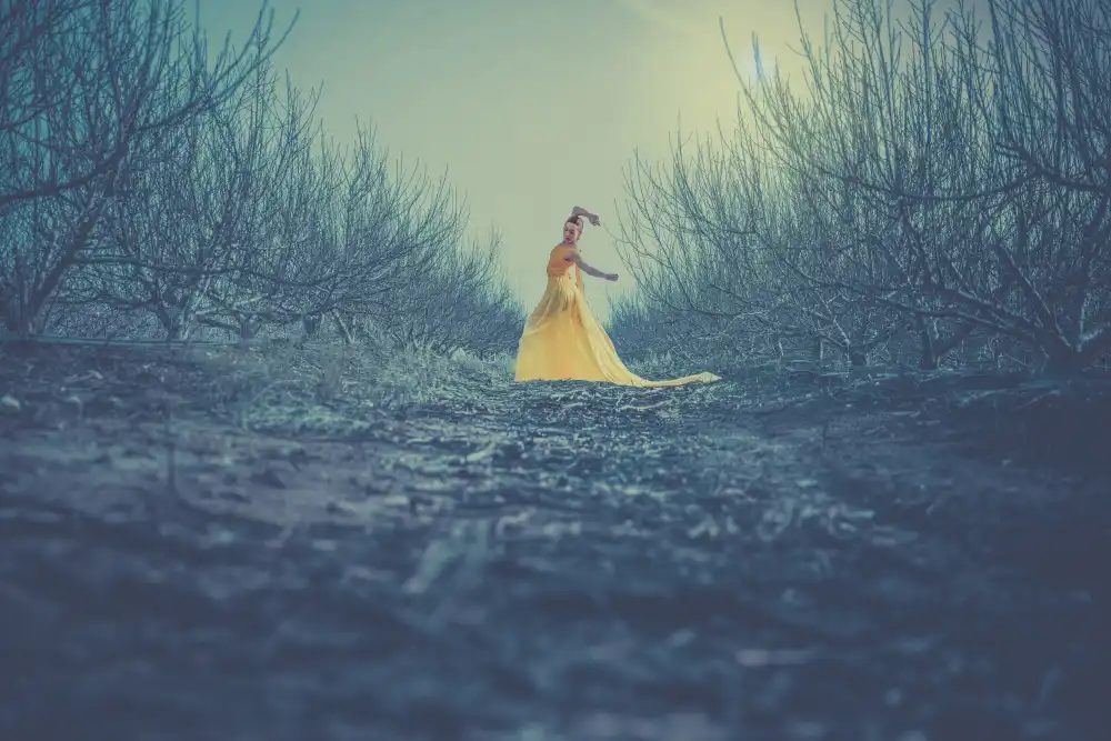 Levy, Sharon: Winter dance