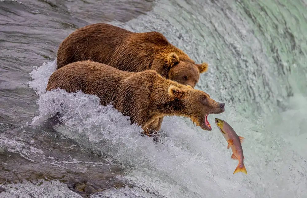 Lin, Ning: Pesca del día