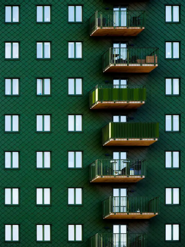 Surleac, Marius: hadovitý
