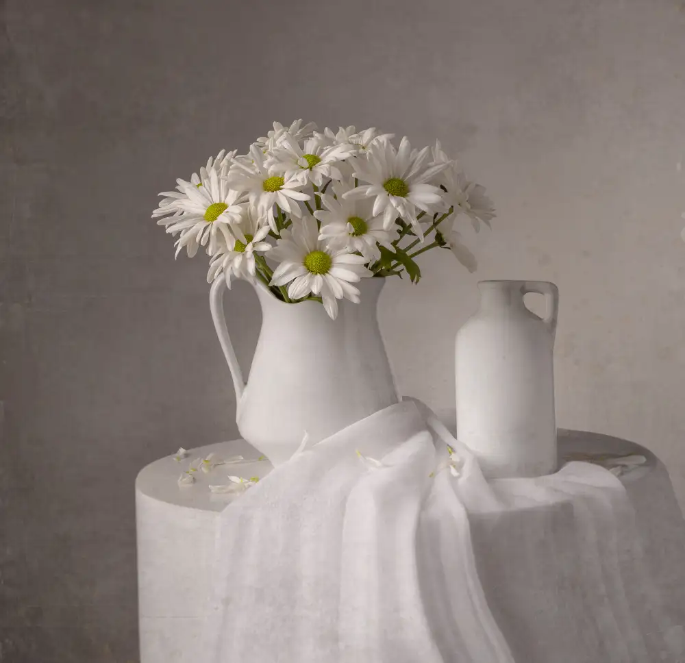Perfoncio, Margareth: Gänseblümchen