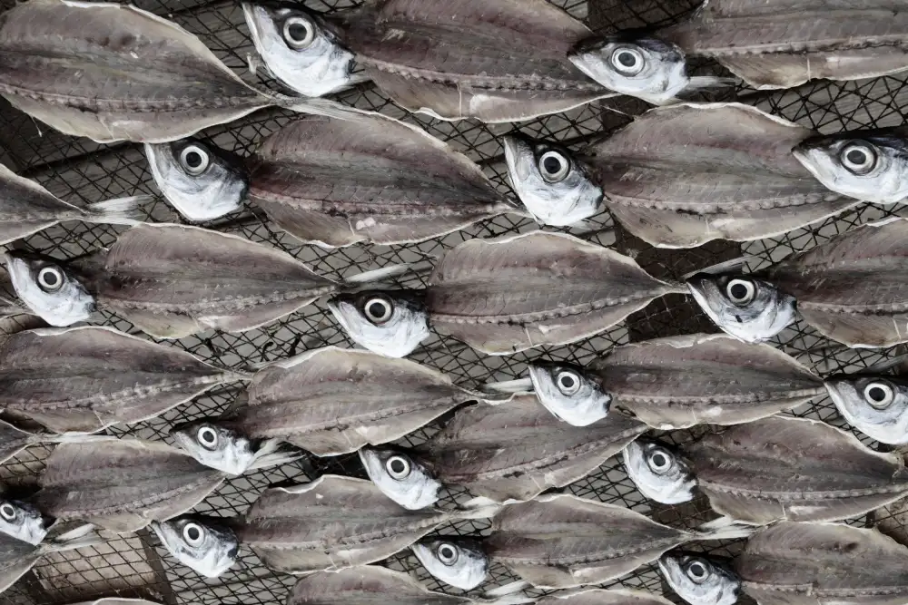 Resch, Iris: poisson
