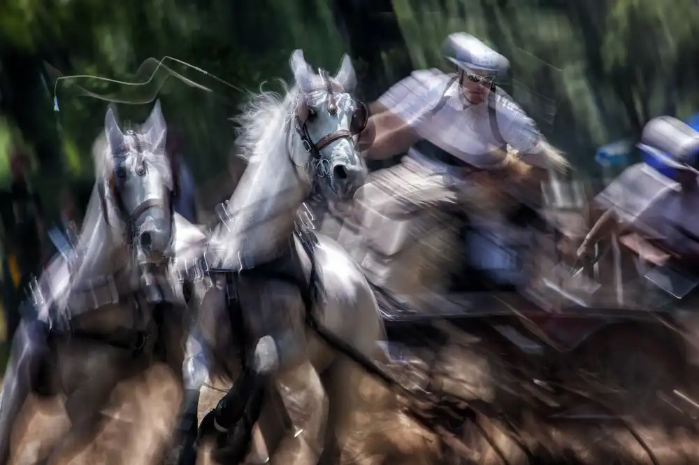 Malovrh, Milan: Maratona di Hors