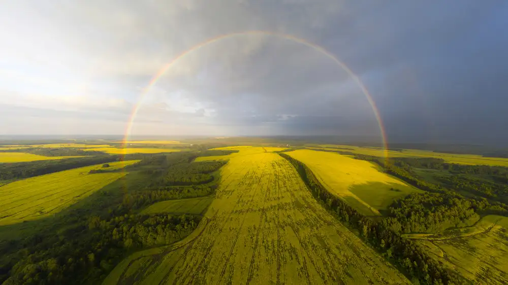 Doronin, Dmitry: Ein exotischer Blick auf den Regenbogen