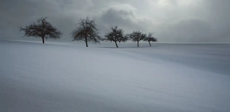 Schumacher, Nicolas: Schneeschauer