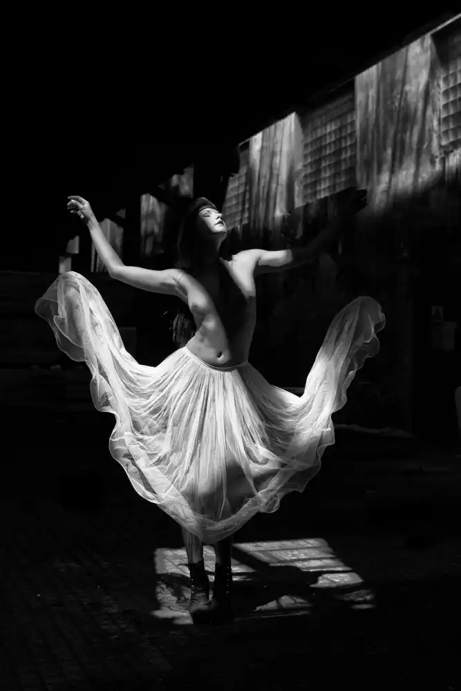 Raskin, Moris: Danseur de l'Ombre 2