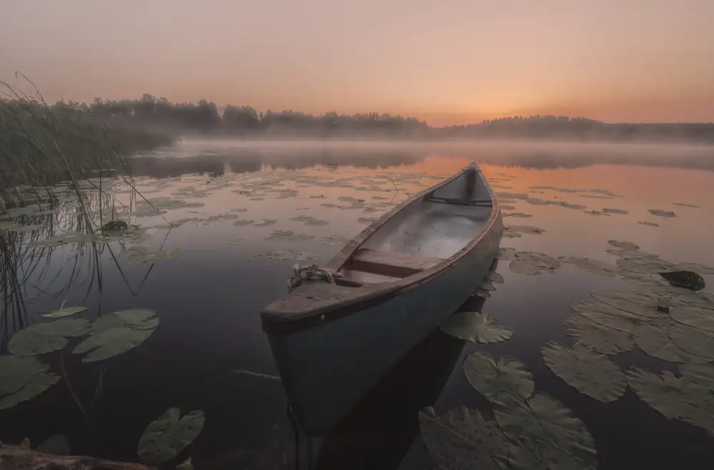 Budyta, Dariusz: Loď