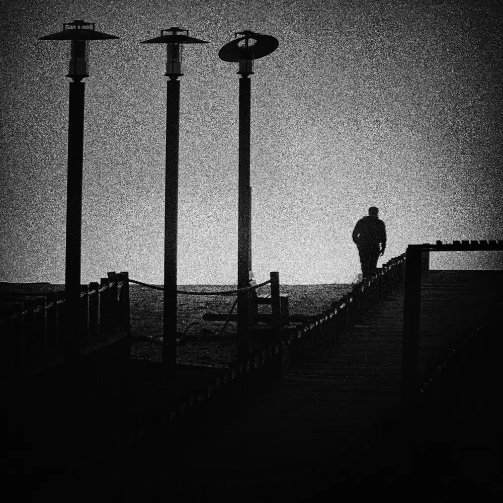 Abrantes, Paulo: Die helle Seite