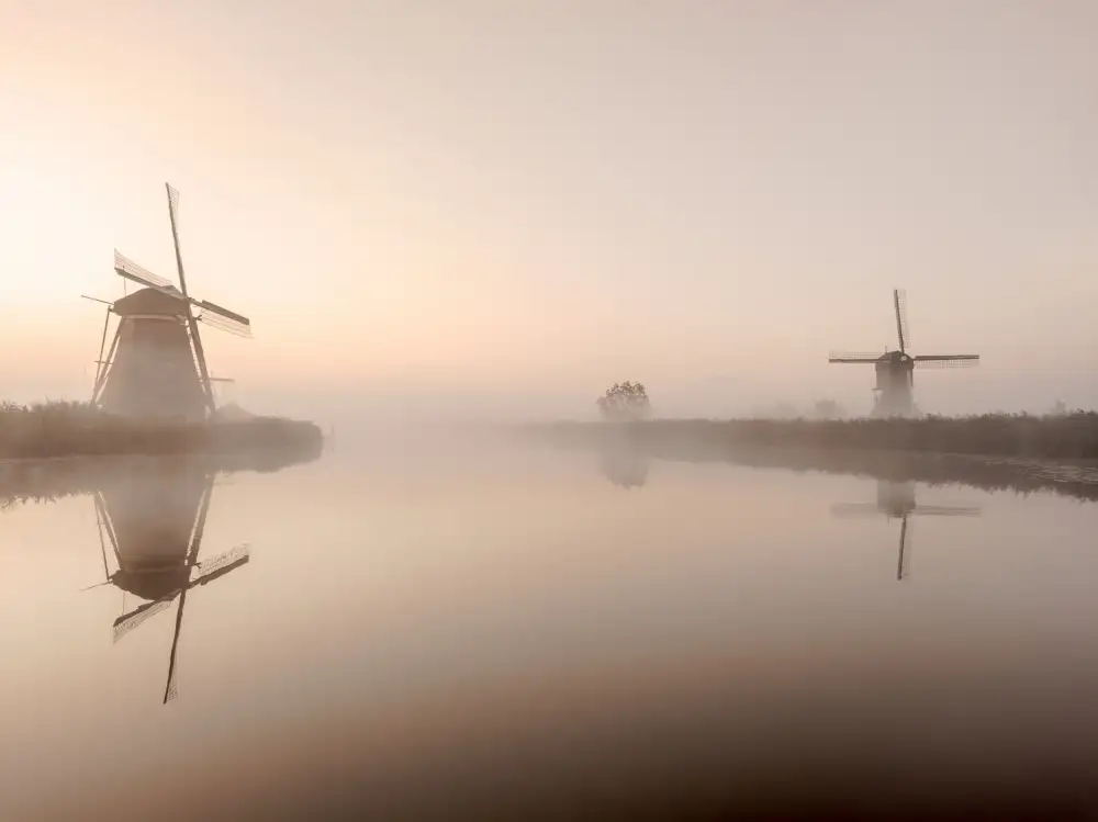 Dauria, Adam: Kinderdijk