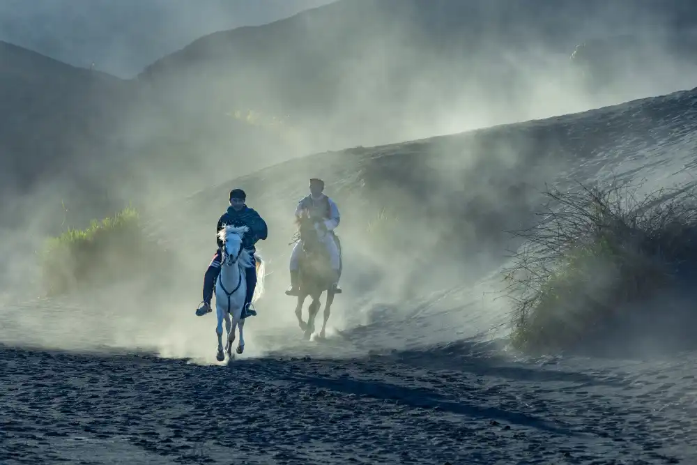 Widjaja, Sally: Equitazione in montagna